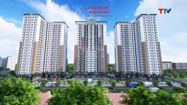 Bán căn hộ 50m2, 2PN, chung cư Xuân Mai. Ngay Big C Thanh Hóa 12426932