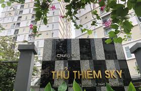 Cho thuê căn hộ Thủ Thiêm Sky, Quận 2, diện tích 58m2, giá 10 triệu/tháng 12427684