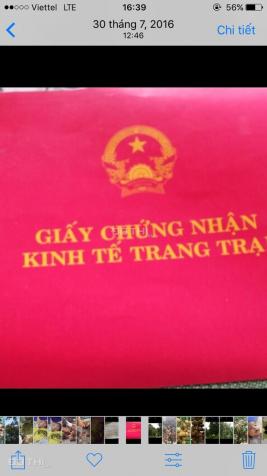 Cho thuê trang trại tại Tuyên Quang, DT 9 ha 12429608