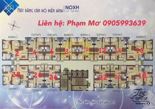 Bán chung cư khu đô thị mới Tuệ Tĩnh, chuẩn bị bàn giao nhà, giá chủ đầu tư 12431262