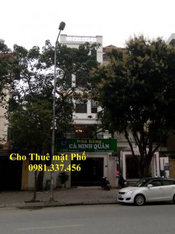 Cho thuê nhà mặt phố Hoàng Cầu, 55m2, MT: 4m, 5 tầng, 32tr/th, Quý mặt phố 0981337456 12457962