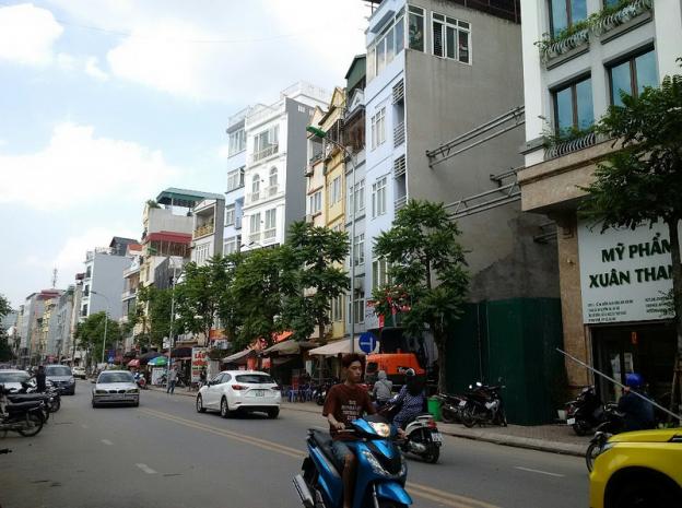 Hàng hiếm mặt phố Phạm Ngọc Thạch, 48m2, 7 tầng, MT 5m. Thương lượng 12467377