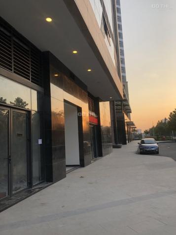 Cần cho thuê Shophouse thuộc dự án The Sun Avenue tại Quận 2, giá tốt 12442554