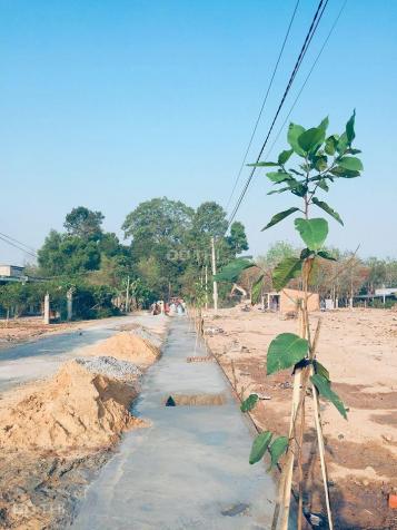 Dự án đất nền thổ cư hot nhất Tây Ninh, cách Sài Gòn chỉ 15 phút xe 12464884