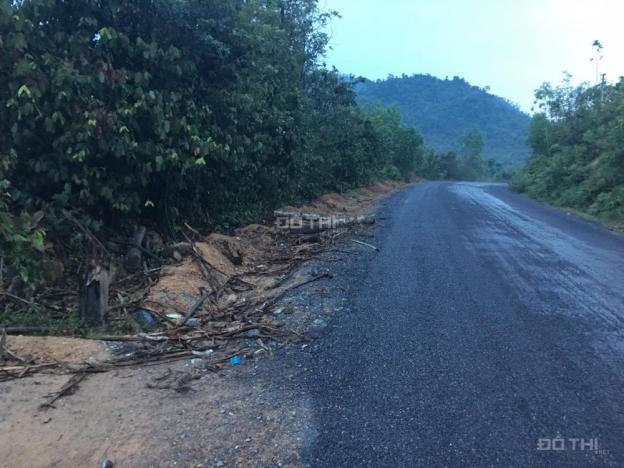 Cần bán lô đất rộng 7,2 ha, ở xã Khánh Bình, huyện Khánh Vĩnh 12468849