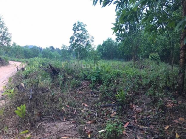 Cần bán lô đất rộng 7,2 ha, ở xã Khánh Bình, huyện Khánh Vĩnh 12468849