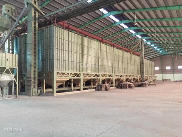 Bán kho xưởng sản xuất gạo, tại xã Hòa An, huyện Chợ Mới, An Giang, DT 9000m2, giá 18 tỷ 12476175