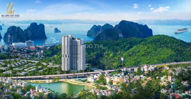 Căn hộ nghỉ dưỡng Hạ Long Bay View - Lợi nhuận từ 12-15%/năm - Liên hệ Mr Hiếu: 0963156700 12494677