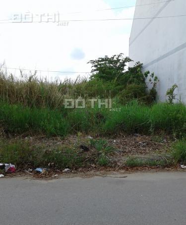 Bán đất tại Phố Tạ Quang Bửu, Quận 8, Hồ Chí Minh, diện tích 100m2, giá 1.95 tỷ 12500223