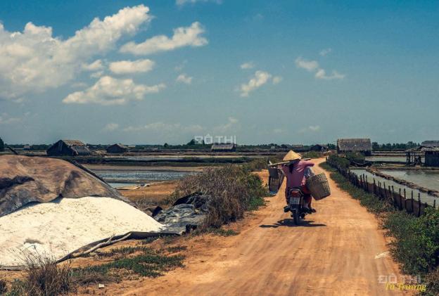 Cần sang lại gấp 6.6 ha đất Lý Nhơn, Cần Giờ, giá 1.8 tỷ/ha 12506238