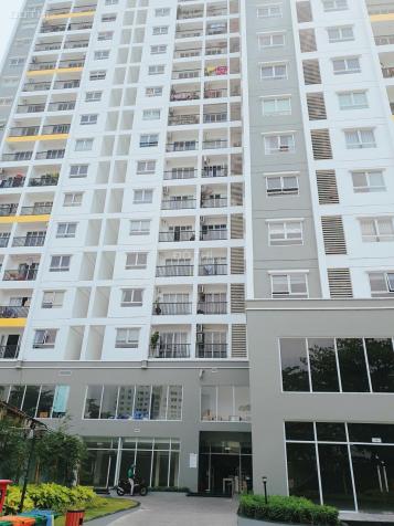 Cho thuê shophouse kinh doanh mặt tiền Lũy Bán Bích, liền kề Đầm Sen, giá 20tr/tháng 12508825