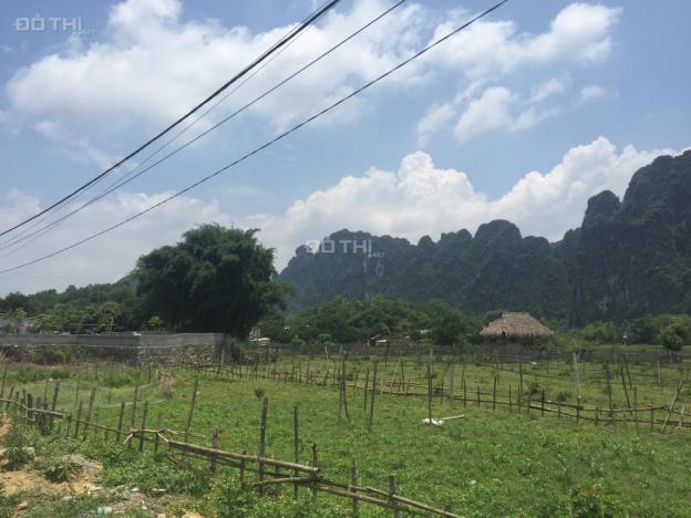 Bán trang trại 2300m2 tại Xóm Mòng, thị trấn Lương Sơn, Hòa Bình 12510015