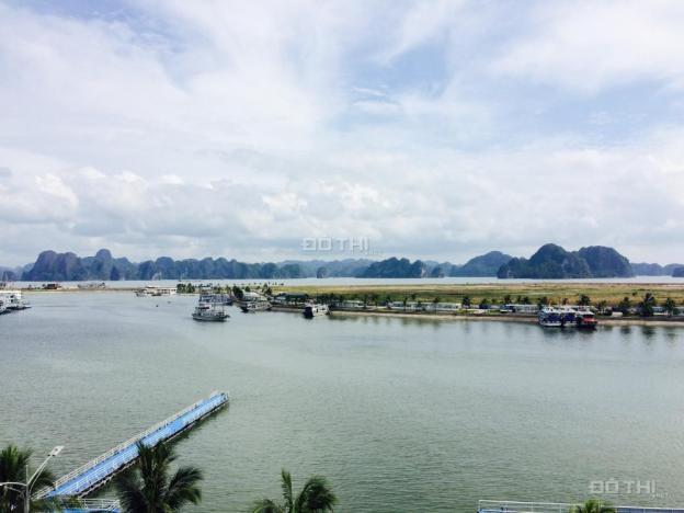 Bán đất nền mặt cảng Tuần Châu, 120m2, giá 38 tr/m2, sổ đỏ lâu dài. LH 0962573196 12513993