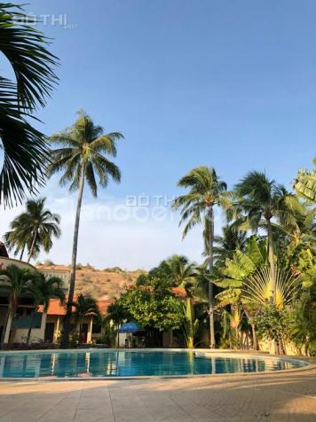 Cần bán resort rộng 5000m2 tại 72A Huỳnh Thúc Kháng - Phan Thiết 12555231