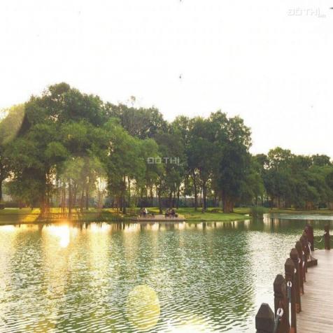 Cần bán căn hộ Celadon khu Emerald - Block B, view hồ sinh thái 71,2m2. LH: 0938 696 545 12595825