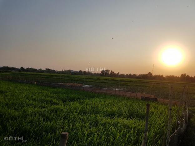 Bán gấp lô đất đẹp DT lớn tại xã Nguyễn Phích, huyện U Minh, giá tốt 12640059
