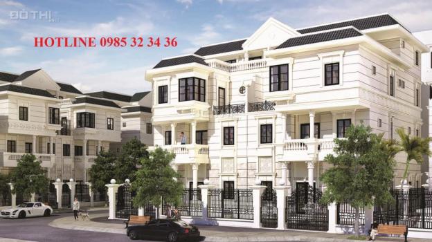 Bán biệt thự Cityland Park Hills đường Nguyễn Văn Lượng, gần Lotte Mart. LH 0985 32 34 36 12465803