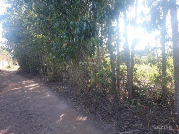Bán 2.2 mẫu đất có nhà cấp 4 vườn xã Long Phước, Long Thành sổ hồng, giá tốt 12643282