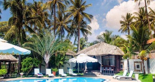 Bán resort đẹp lung linh đường Nguyễn Đình Chiểu, P. Hàm Tiến, giá tốt 12645394