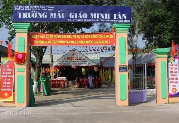 Đất kinh doanh nuôi Yến tại Minh Tân, Dầu Tiếng, Bình Dương giá 620tr/ 564m2 SH riêng 12659815
