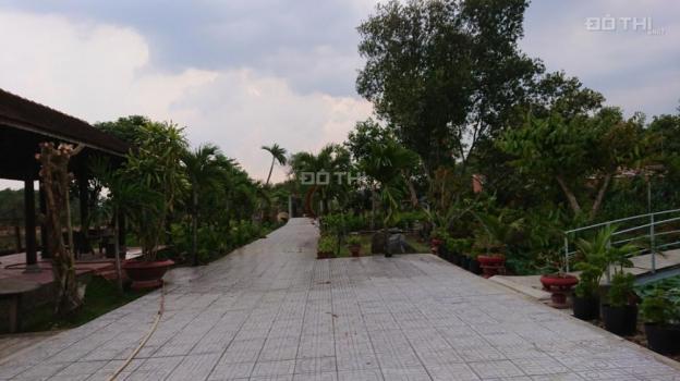 Cho thuê 0,5 hecta đất sân vườn đã có cơ sở hạ tầng giữa trung tâm TP Tây Ninh 12661424