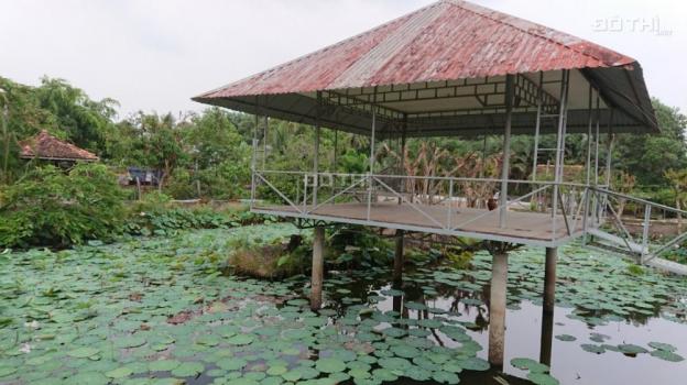 Cho thuê 0,5 hecta đất sân vườn đã có cơ sở hạ tầng giữa trung tâm TP Tây Ninh 12661424