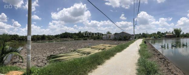 Cần bán 1900m2 đất trồng cây lâu năm, sổ riêng, Đường Nguyễn Văn Tạo. Giá chỉ 2tr/m2 12671290