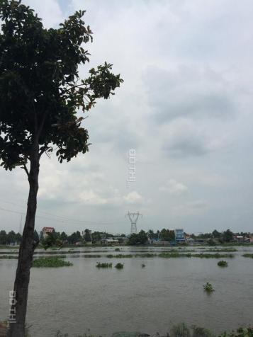 Đất thổ cư mặt tiền đường nhựa sông Sài Gòn ngay làng du lịch Sông Quê, xã Bình Mỹ 12655841