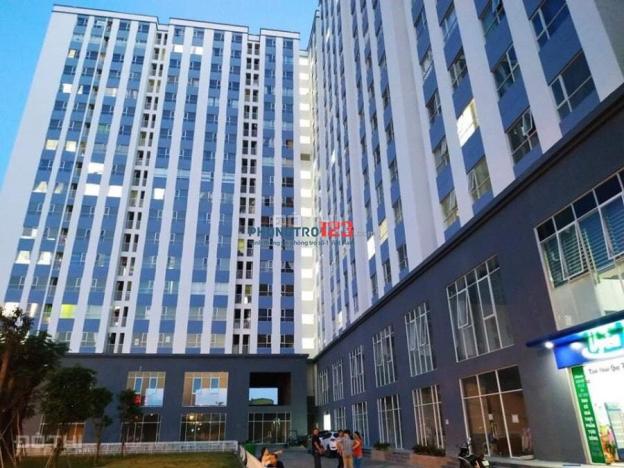 Sở hữu căn hộ 68m2 - 2 PN Zen Tower, Quận 12 chỉ cần thanh toán trước 1,05 tỷ 12685310