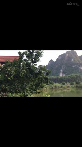 Tìm đối tác KD hoặc chuyển nhượng trang trại tại Lương Sơn, Hòa Bình 12689358