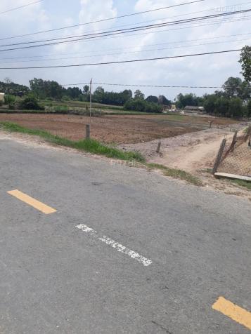 Bán đất mặt tiền TL 833, xã Tân Phước Tây, Tân Trụ, Long An 12693125