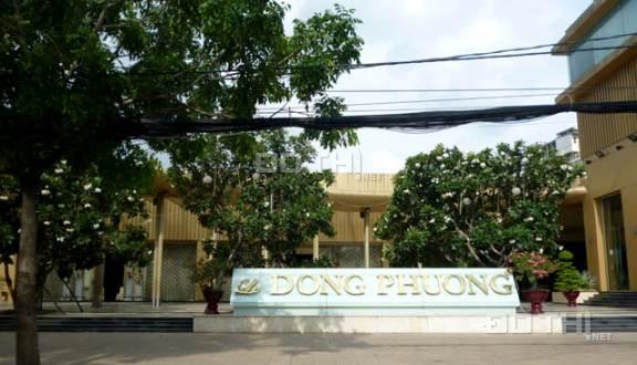 Cần tiền gấp du học bán gấp nhà 126m2 MT nội bộ đường Nguyễn Văn Quá ngang 8m. Giá 1,2 tỷ 12694718