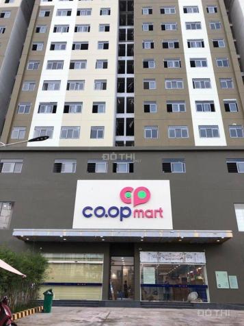 Căn hộ Bình Tân 3 PN, 2 WC tầm 2 tỷ tháng 9 nhận nhà, siêu thị Coop Mart tầng 1, BIDV hỗ trợ 70% 12700771