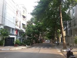 Chính chủ bán 2 nhà liền kề đường Số 5 KDC Trung Sơn, DT 10x20m, giá 23 tỷ 12705319