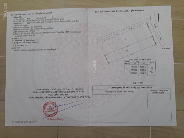 Cần bán đất 2 mặt tiền đường Lý Nhơn, Cần Giờ, 51x116m, giá 3.4tr/m2 thiện chí thương lượng 12738505