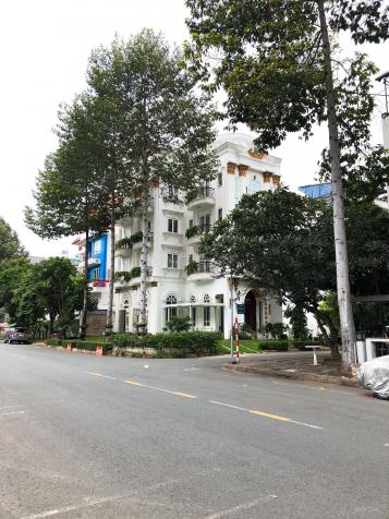 Bán nhà siêu biệt thự Phú Mỹ Hưng, căn góc đường Đặng Đại Độ, Nhà full nội thất cao cấp 12741696