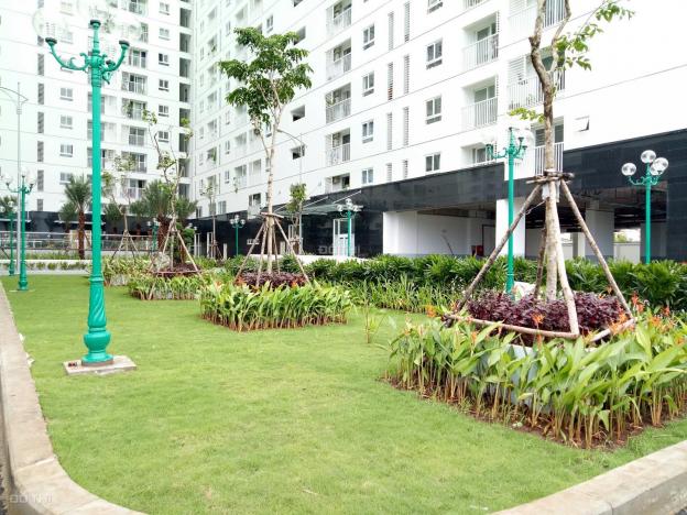 Cho thuê căn hộ Tara Residence, 1A Tạ Quang Bửu, P6, Q8, 68m2, 8tr/th, 2PN, HĐ dài hạn gần BX Q8 12756058