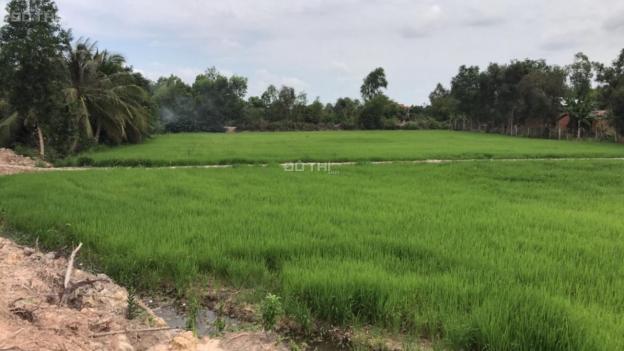 Bán đất công huyện Đức Hòa, giá rẻ, 17x73m đất nông nghiệp 12759950