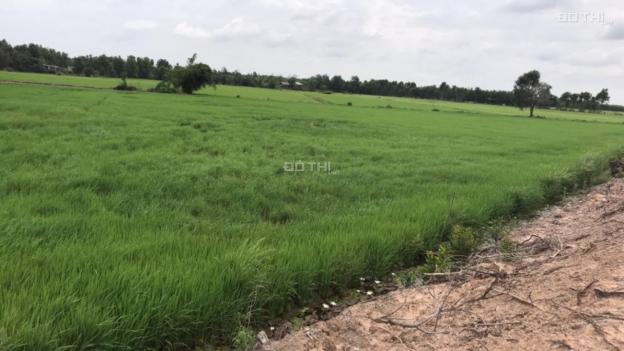 Bán đất công huyện Đức Hòa, giá rẻ, 17x73m đất nông nghiệp 12759950
