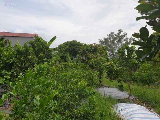 Chính chủ bán nhà đất tại khu C5, Xã Tiên Dược, Sóc Sơn, Hà Nội diện tích 1100m2, giá 3.2 tỷ 12778791