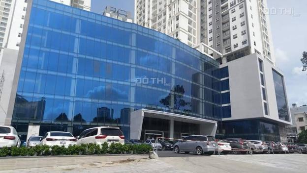 Bán gấp nhiều CHCC Xi Grand Court - Lý Thường Kiệt, P. 14, Q. 10, căn 1PN - 2PN - 3PN, từ 3,25 tỷ 12779223