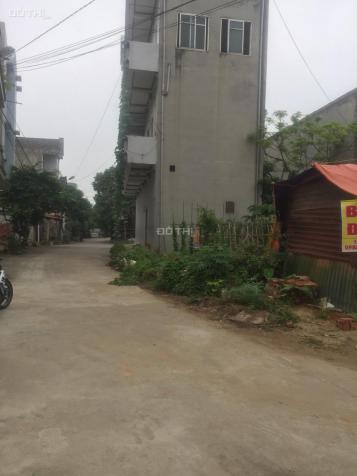 Chính chủ cần bán 2 lô đất liền kề vị trí đẹp giá tốt ở P. Nông Trang, TP Việt Trì, Phú Thọ 12779829
