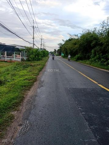 Bán đất sổ hồng riêng mặt tiền đường Nguyễn Thị Rành, xã Trung Lậu Hạ, Củ Chi. DT 1650 mét vuông 12786456