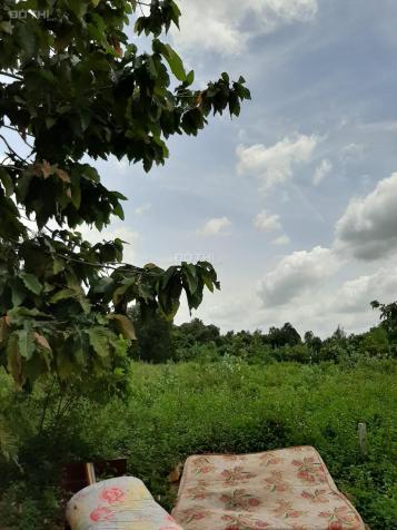 Bán đất tại đường D2, Phường Bửu Long, Biên Hòa, Đồng Nai, diện tích 99m2, giá 2,9 tỷ 12789037