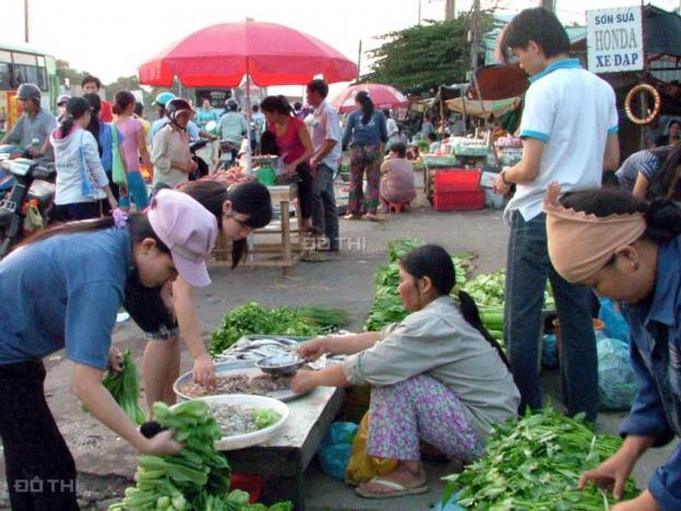 Đất chính chủ, bán gấp 300m2 đất đối diện siêu thị nước ngoài, chợ, thổ cư 100% giá 700 triệu 12791560