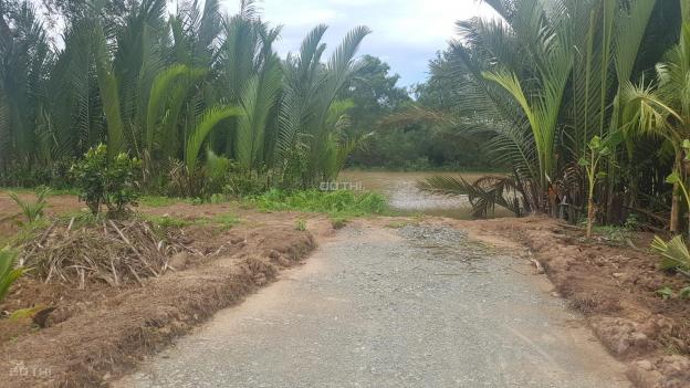Cần bán 8000m2 đất vườn sát sông Ba Lai, có đường xe tải 5m tới đất, Bến Tre, giá rẻ 12793997