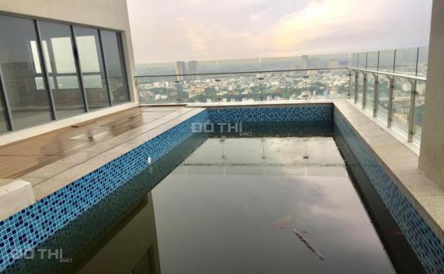 Penthouse Diamond Island bán, 3 mặt view sông, vườn và hồ bơi riêng 64m2, 318.39m2, 34 tỷ 12796119