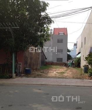 Cần bán gấp đất đường Số 17, Phú Chánh, thổ cư 100%, gần chợ 12799118