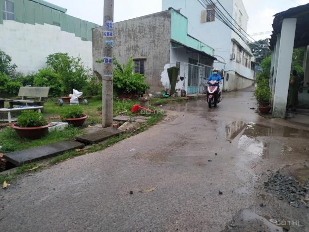 Bán đất Phước Tân 8x17m sổ hồng riêng ngay Sơn Tiên gần trường học cấp 3 20m, cách QL 51 20m 12799950