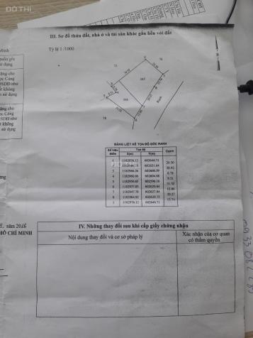 Bán đất lúa xã Phước Lộc, Nhà Bè có đường vào giá 2.2 tr/m2 12803242